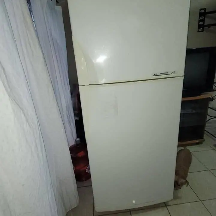 Heladera Gafa