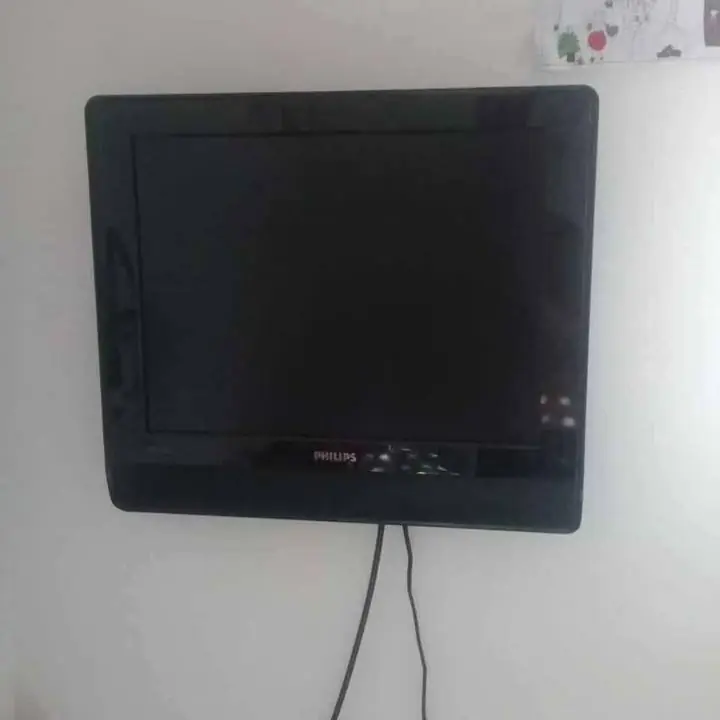 Philips 14'