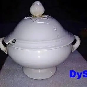 Sopera antigua porcelana Petrus Regout taille 2 Holanda