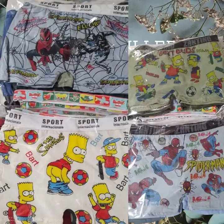 Boxer zantino x 12