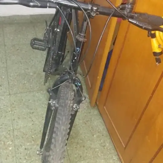Bicicleta