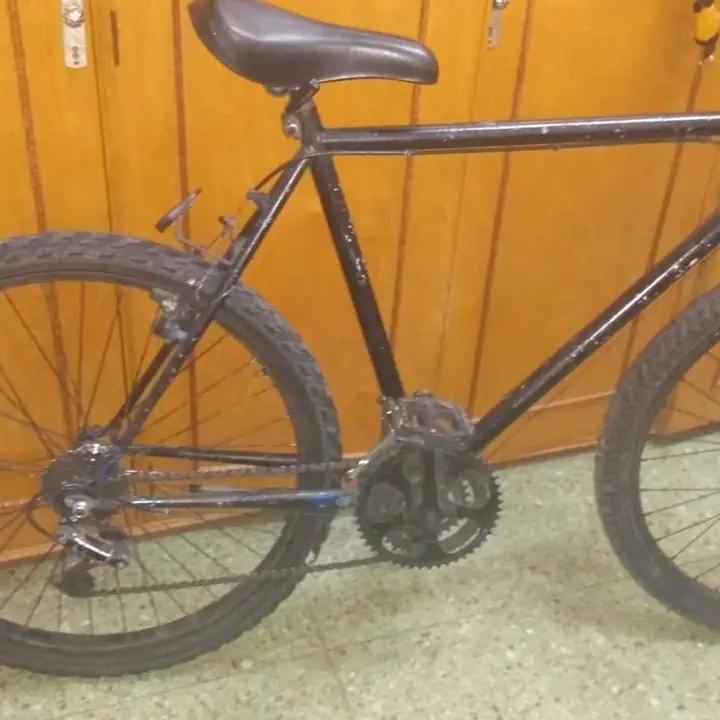 Bicicleta vendo