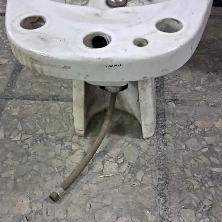 Videt baño
