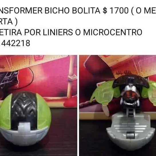 Transformer bicho bolita