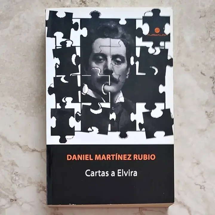 Daniel Martínez Rubio - Cartas a Elvira - Libro
