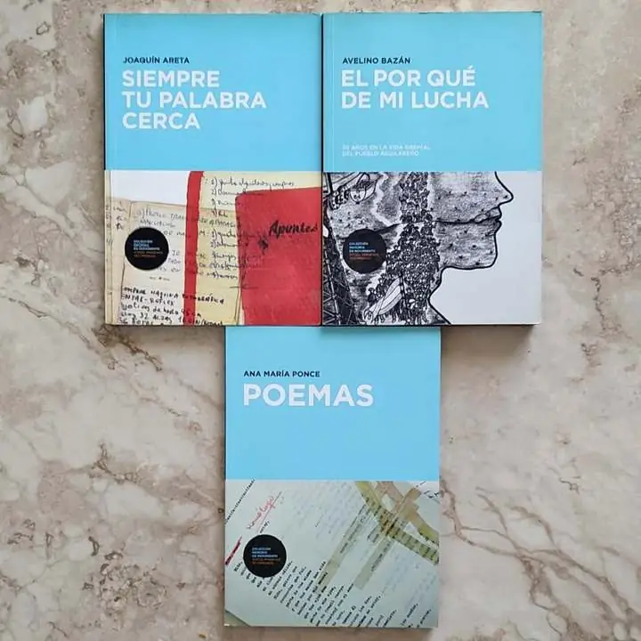 3 Libros Joaquín Areta / Avelino Bazán / Ana María Ponce - Colección Memoria en movimiento