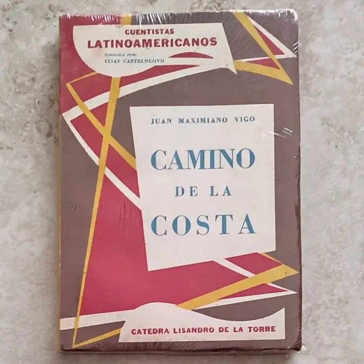 Juan Maximiliano Vigo - Camino de la costa - Libro
