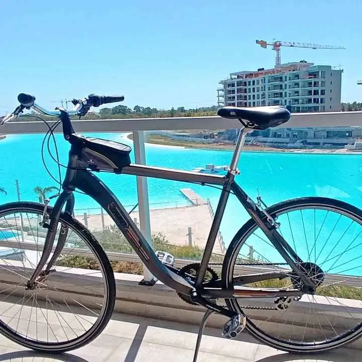 Bicicleta Olmo Camino