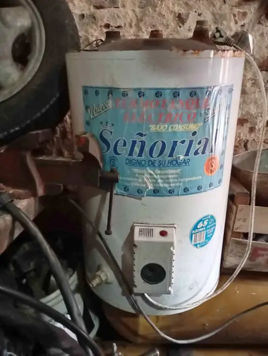 Termotanque eléctrico 65 ltros
