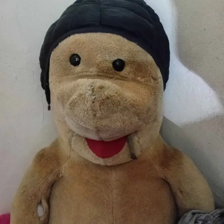 Flopi