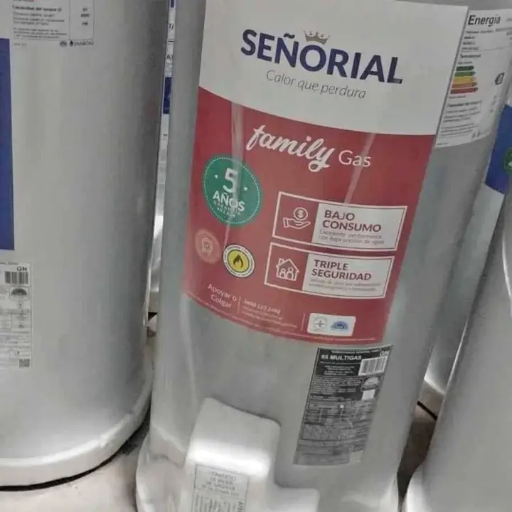 Termotanque Señorial liquidacion de stock