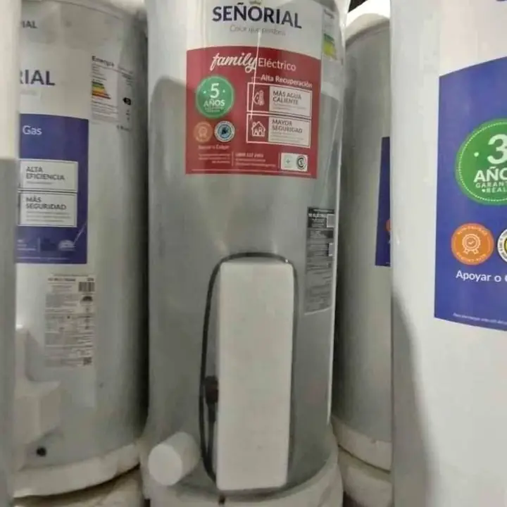 Termotanques electricos y a gas super oferta
