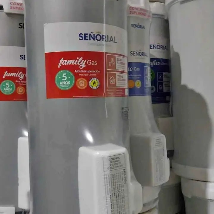 Mega Liquidación Termotanques Señorial Escorial Garantia Oficial