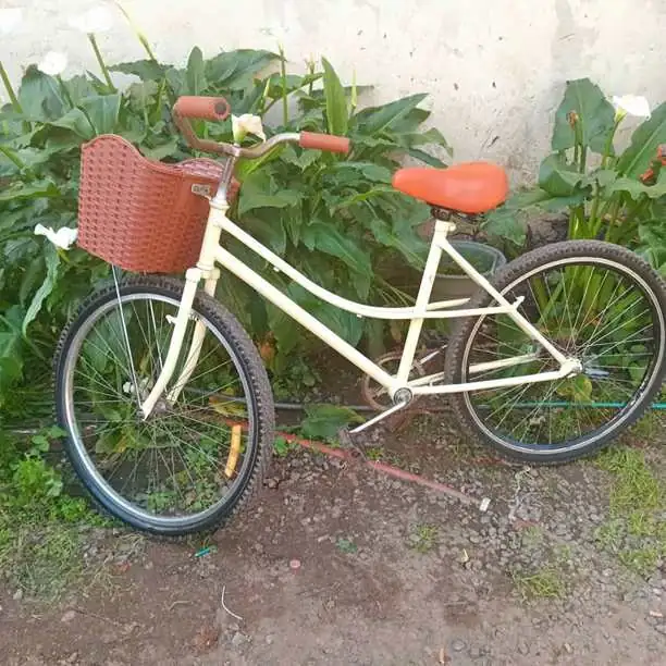Bici vintage
