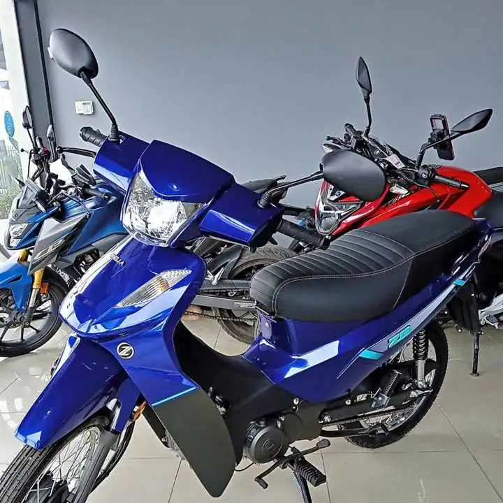 Vendo Zanella ZB 110 Entrega