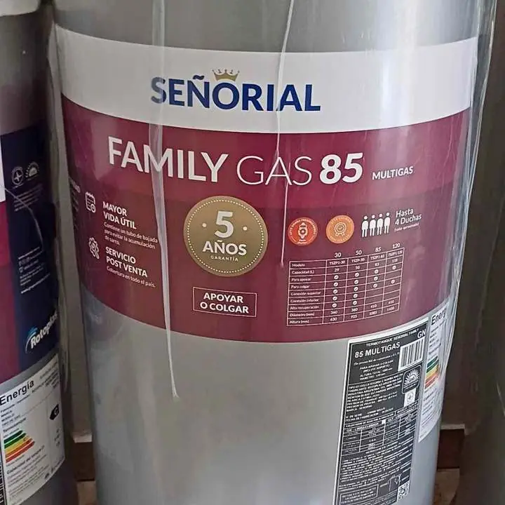 Termotanques electricos y a gas hot sale