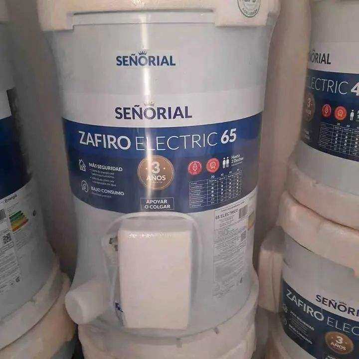 Termotanques en Oferta