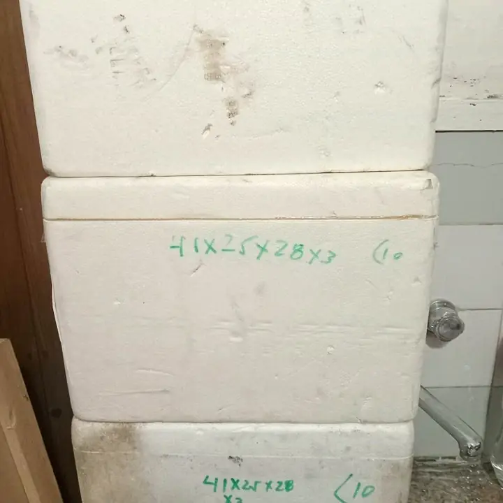 Conservadoras $10.000