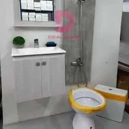 Promo vanitory+sanitario+ducha exterior