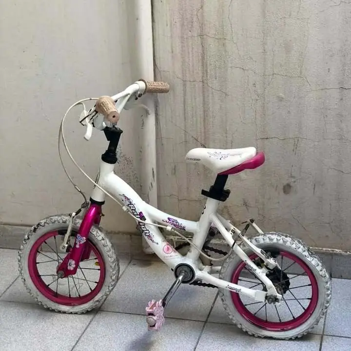 Bicicleta Raleigh Cupcake Rodado 12