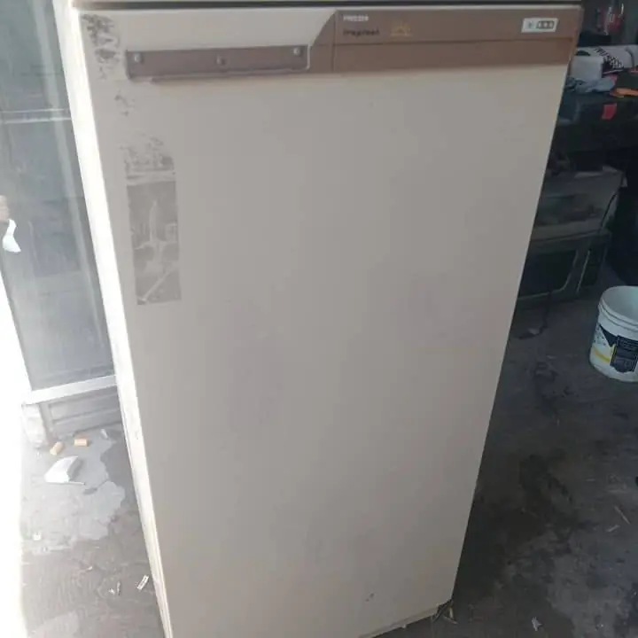 Frizzer vertical