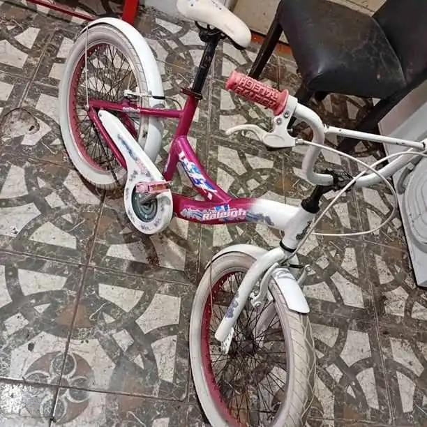 Bicicleta r 20 de nena .raleigh