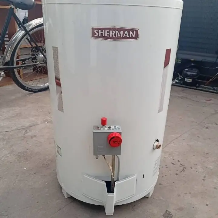 Termotanque de 80 lts