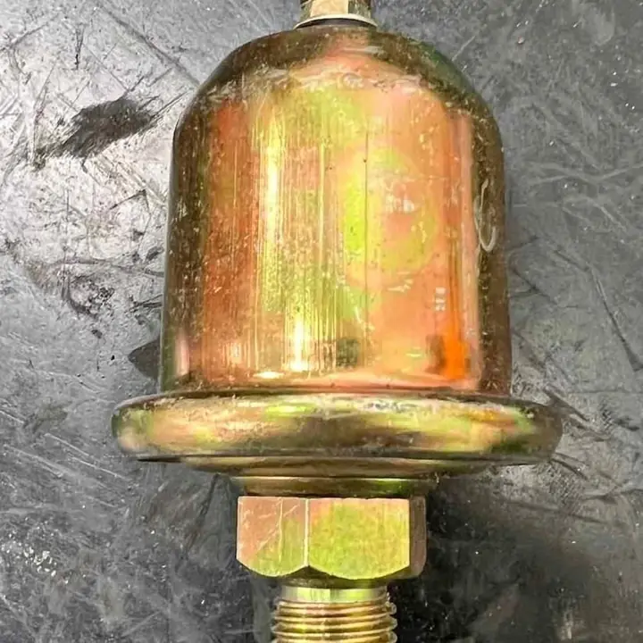 Bulbo cebolla presión aceite fiat iava