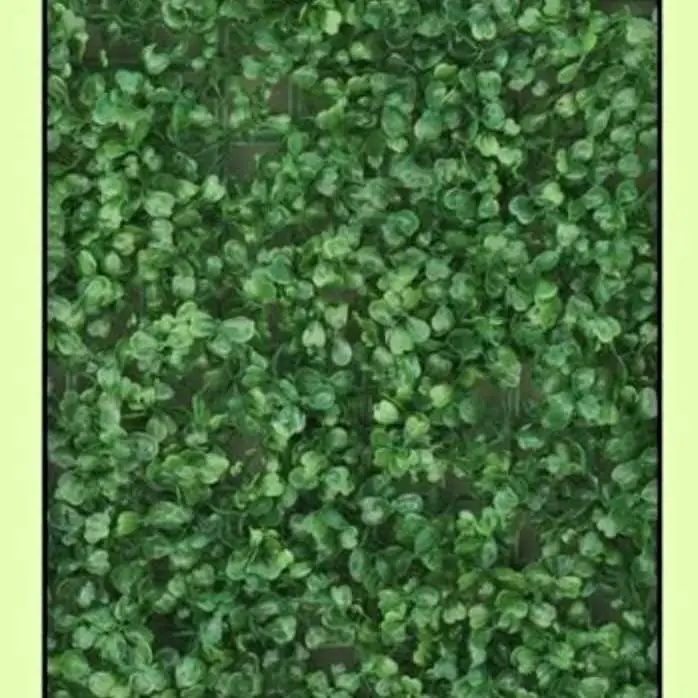 Jardines verticales para uso interior