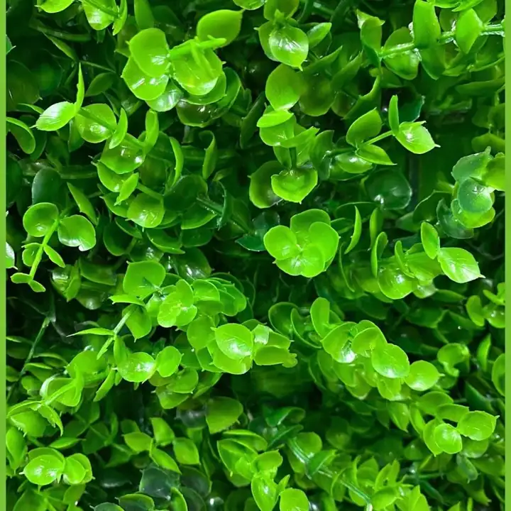 Jardin vertical 60 x 40
