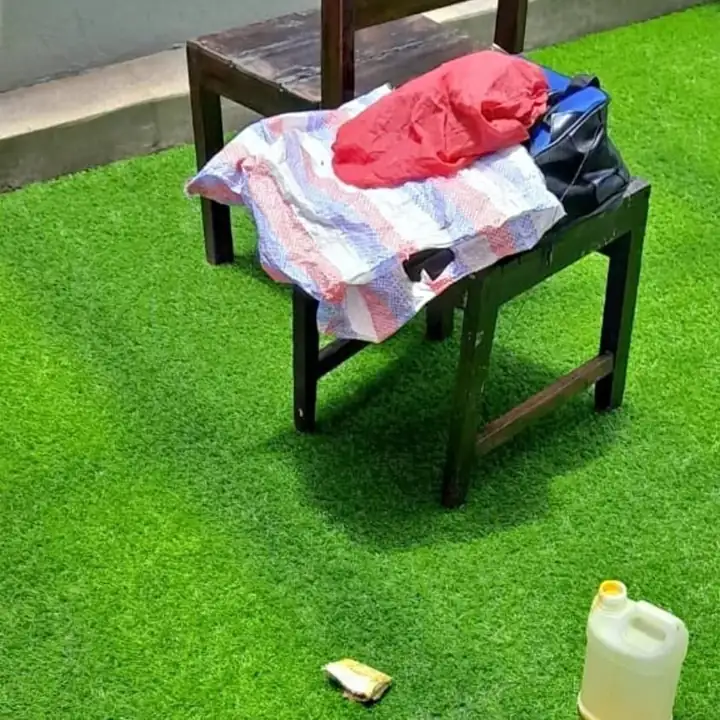 Pasto sintético decorativo en rollo – resistente y duradero
