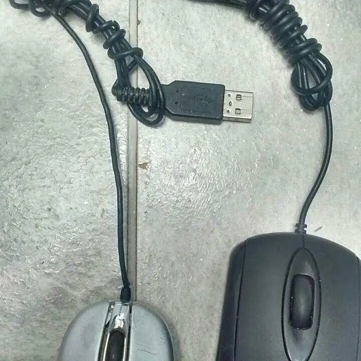2 Mouse genius