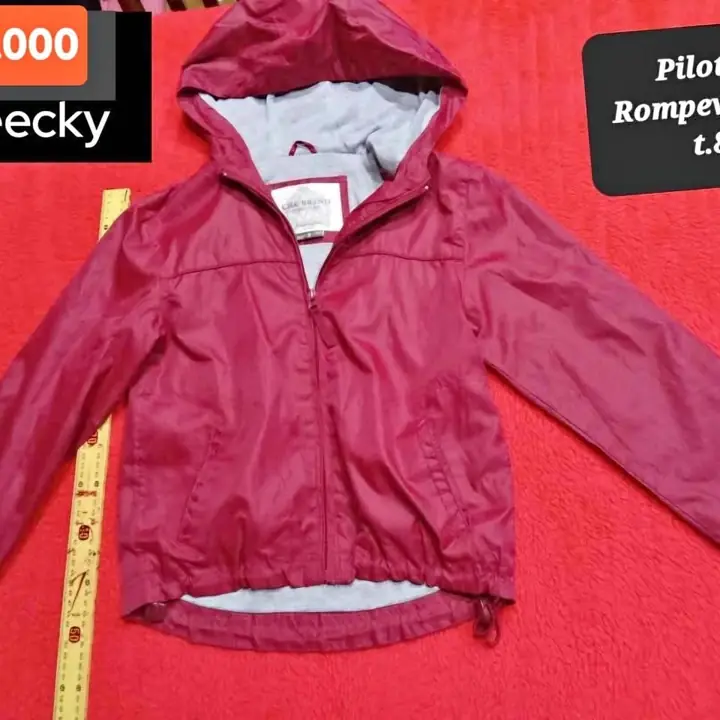 Pilotin rompimiento Cheeky t. 8