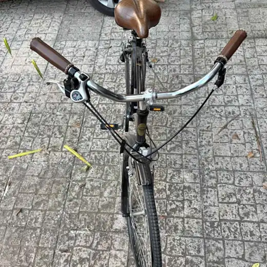 Bicicleta olmo vincent rodado 28