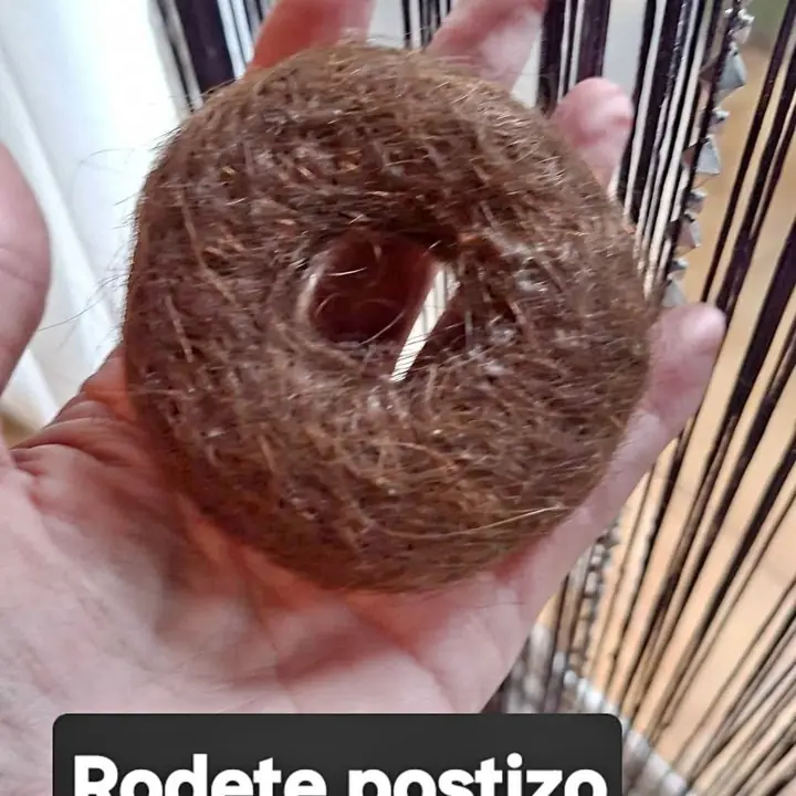 Rodete postizo