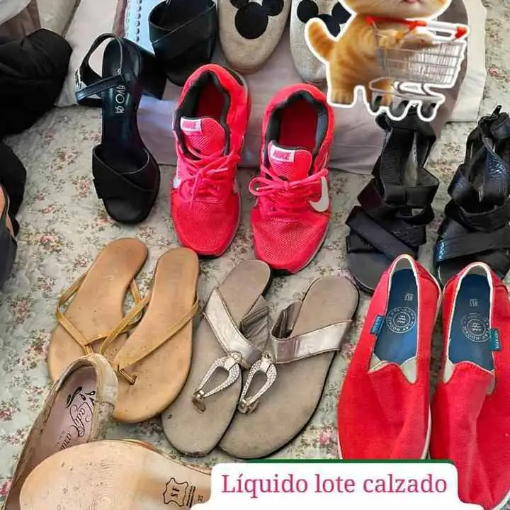 Se va hoy hermoso lote zapatos mujer número 36 vice te López originales impecables