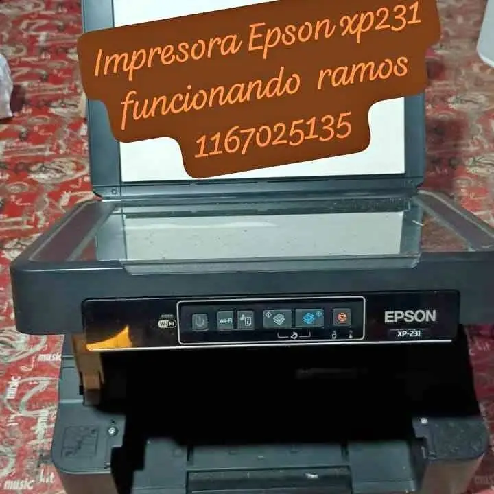 Se ve de impresora Epson funcionando l se retira en ramos