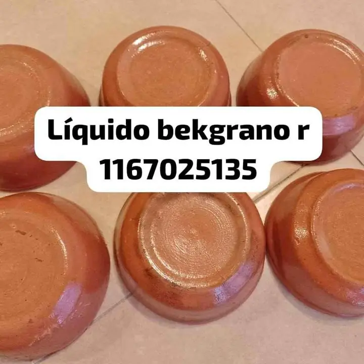 Se va hoy cazuela de barro para seis personas
