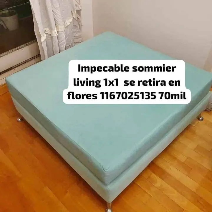 Se ve de camastro living impecable flores