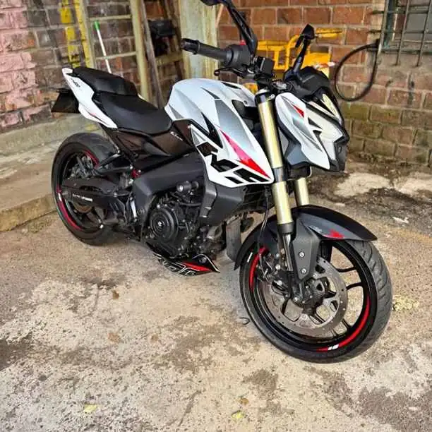 Rouser Ns 400 / Palermo
