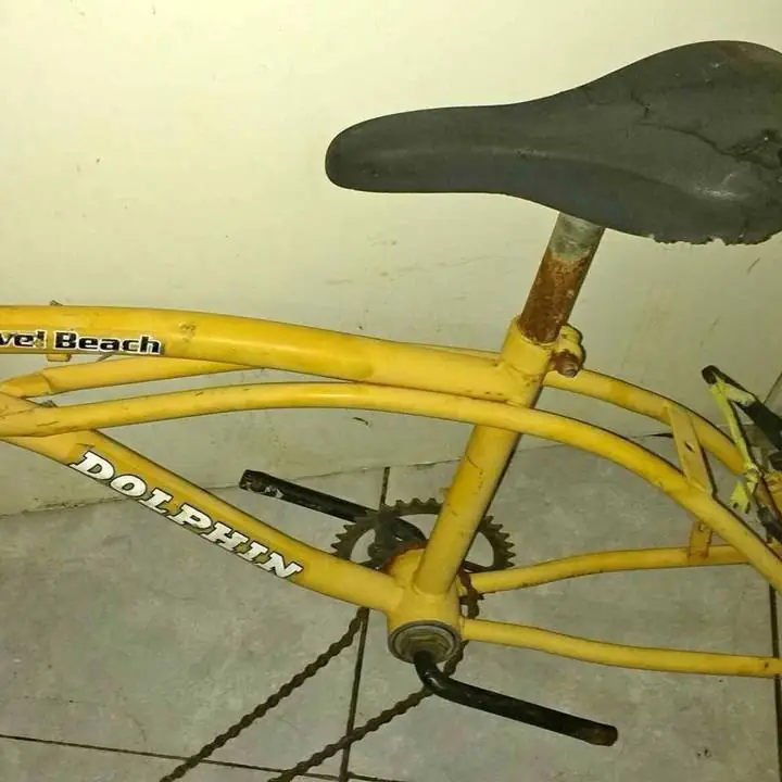 Cuadro de bicicleta DOLPHIN