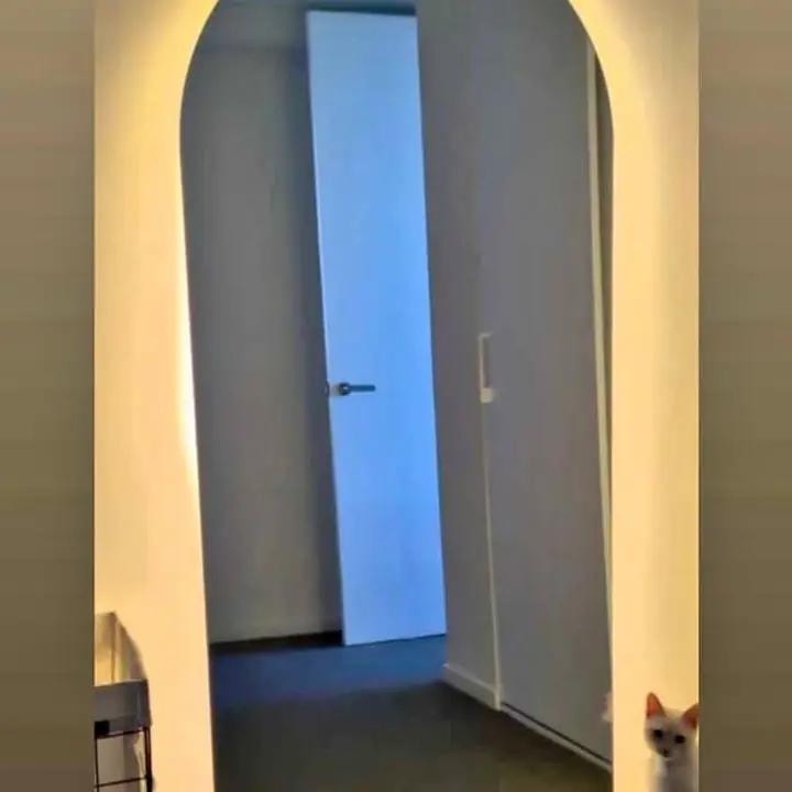Espejo Vestidor Arco con Luz LED Integrada
