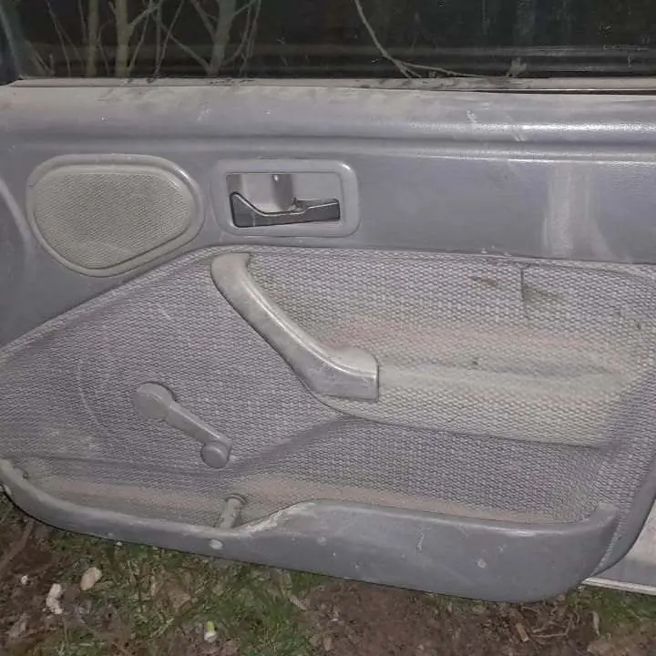 Panel Puerta Delantero Ford Orion $$$70000!
