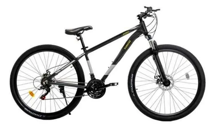 Bicicleta Rander MTB R29 Negro Gris