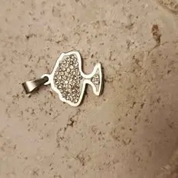 Dijes de acero blanco( bañados en plata 925)