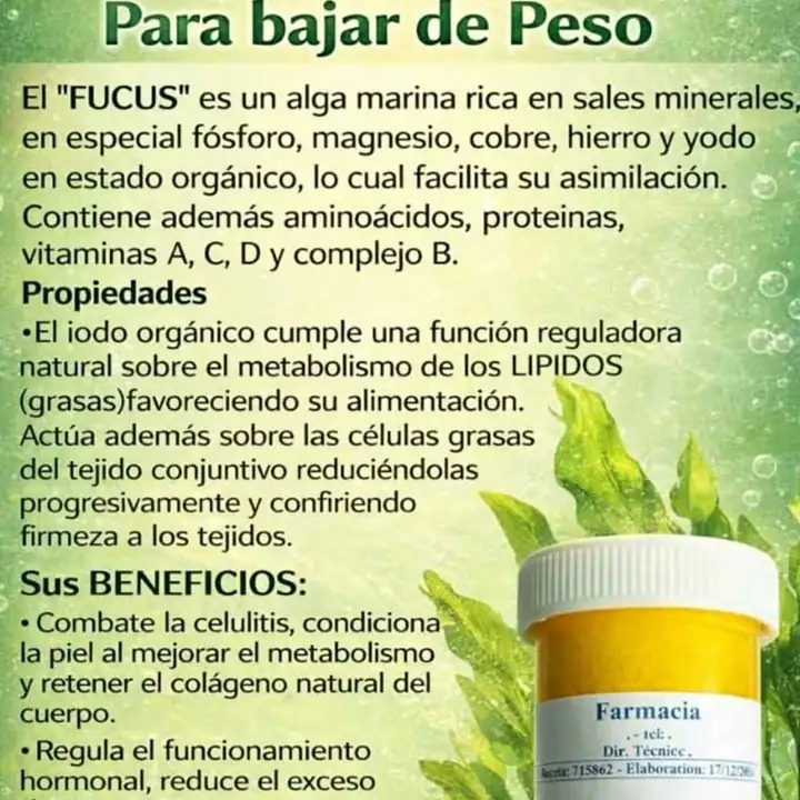 Quemadores de grasas fucus