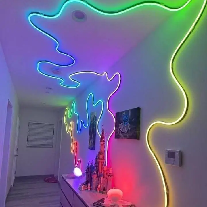 Luz de Neon 5 metros super oferta