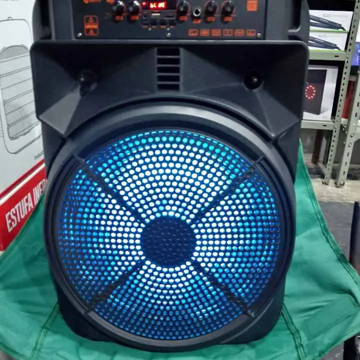 Parlante de 15 pulgadas con micrófono profesional