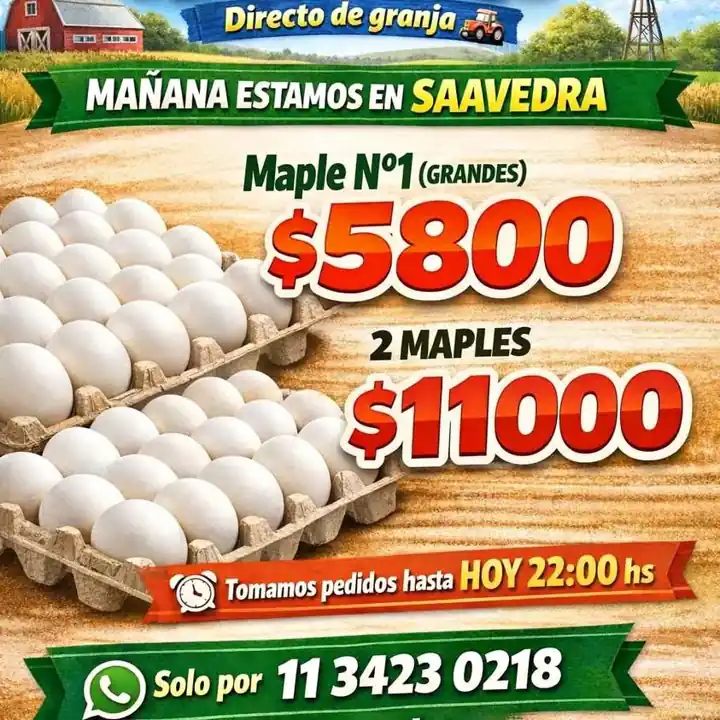 Huevos frescos blancos