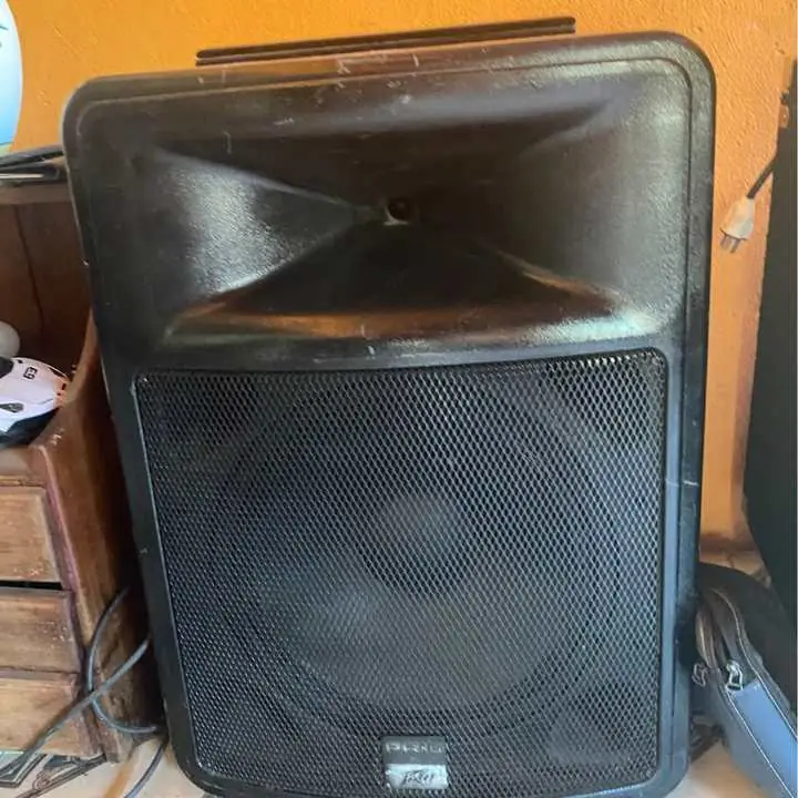 Vendo estas dos cajas de sonido muy potentes solo para entendidos son americanas usa de 400 wsats